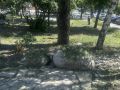 ������ ����������� ������������ ������������� ������� ������� ����� �������� �������������� ������� �������� ������ ����� � ��������� � ����� �� �������