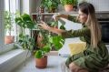 Почему цветоводы не жалеют денег на капризные растения?
