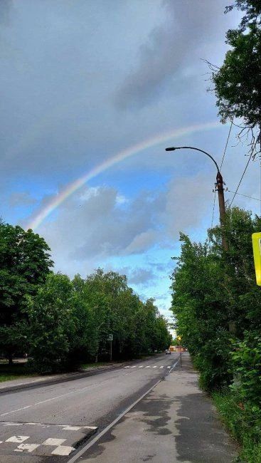 Погода на выходных в Курской области: немного дождей и +27