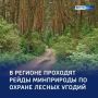 Охрана природы: 3 протокола — за неделю