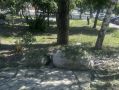 Хинштейн поручил усилить покос травы и уборку сена