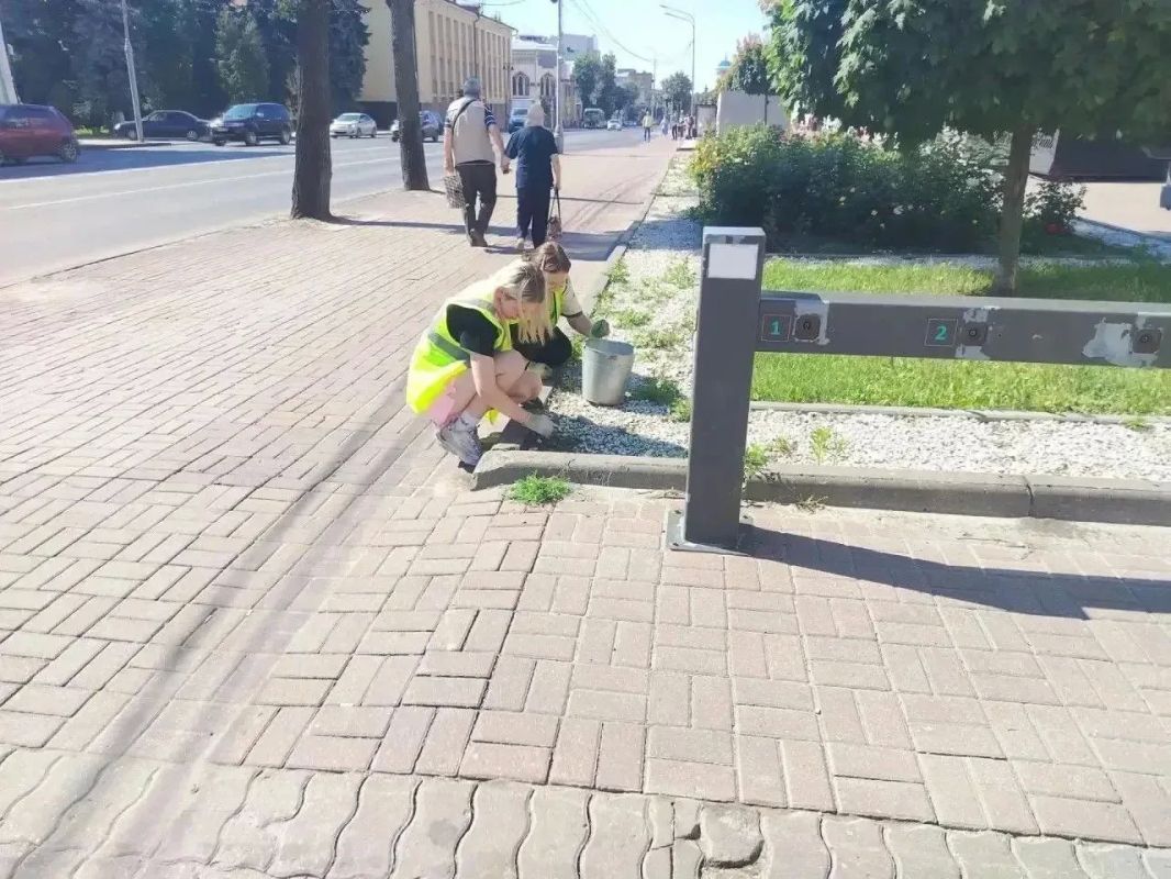 В Курске 45 специалистов наводят порядок в парках и скверах