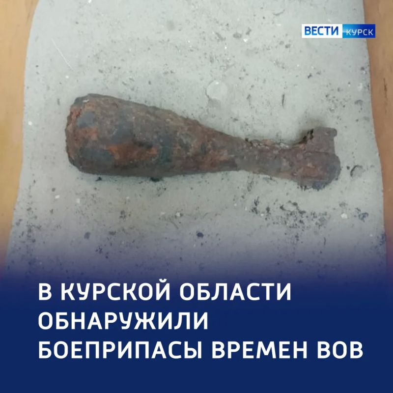 Осколки событий: два снаряда времён ВОВ нашли в регионе