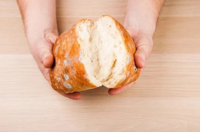 Плесень на продуктах: стоит ли ее срезать?