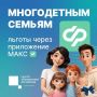 Многодетные семьи могут подтвердить положенные им льготы с помощью приложения МАКС