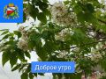 ДОБРОЕ УТРО. Всем удачной среды и хорошего настроения