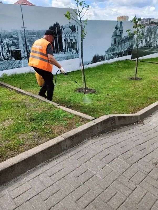 В рамках контракта по содержанию зелёных насаждений и цветочному оформлению в сквере у ДК «Лиры» активно ведутся работы В рамках контракта по содержанию зелёных насаждений и цветочному оформлению в сквере у ДК «Лиры» активно ведутся работы