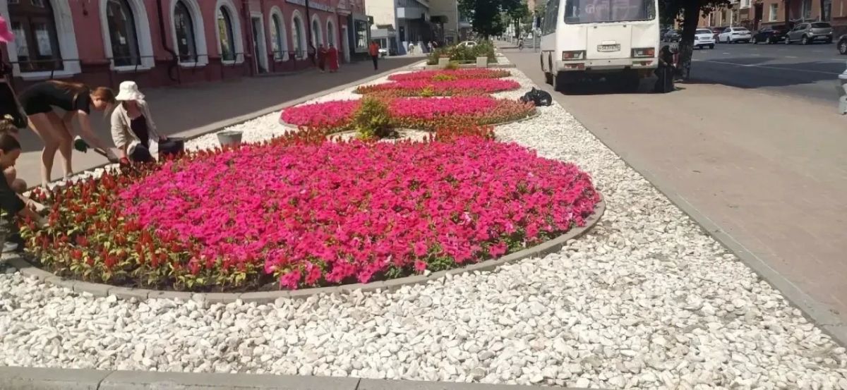 У курской «Лиры» посадят однолетние цветы У курской «Лиры» посадят однолетние цветы