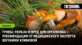 Грибы: как наслаждаться их вкусом без риска для здоровья