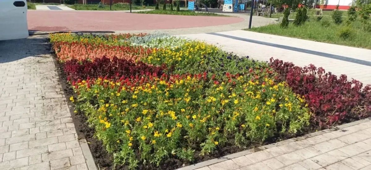 В рамках контракта по содержанию зелёных насаждений и цветочному оформлению в сквере у ДК «Лиры» активно ведутся работы В рамках контракта по содержанию зелёных насаждений и цветочному оформлению в сквере у ДК «Лиры» активно ведутся работы