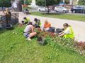 В рамках контракта по содержанию зелёных насаждений и цветочному оформлению в сквере у ДК «Лиры» активно ведутся работы