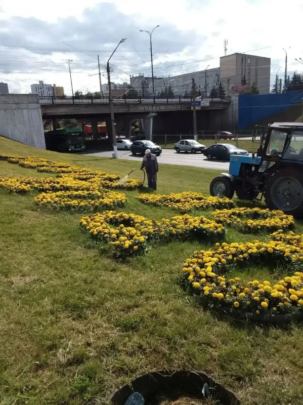 У курской «Лиры» посадят однолетние цветы У курской «Лиры» посадят однолетние цветы