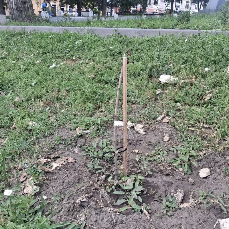Не успели куряне обрадоваться благоустройству сквера "Спутник" в центре Курска, как он начал стремительно ветшать Не успели куряне обрадоваться благоустройству сквера "Спутник" в центре Курска, как он начал стремительно ветшать