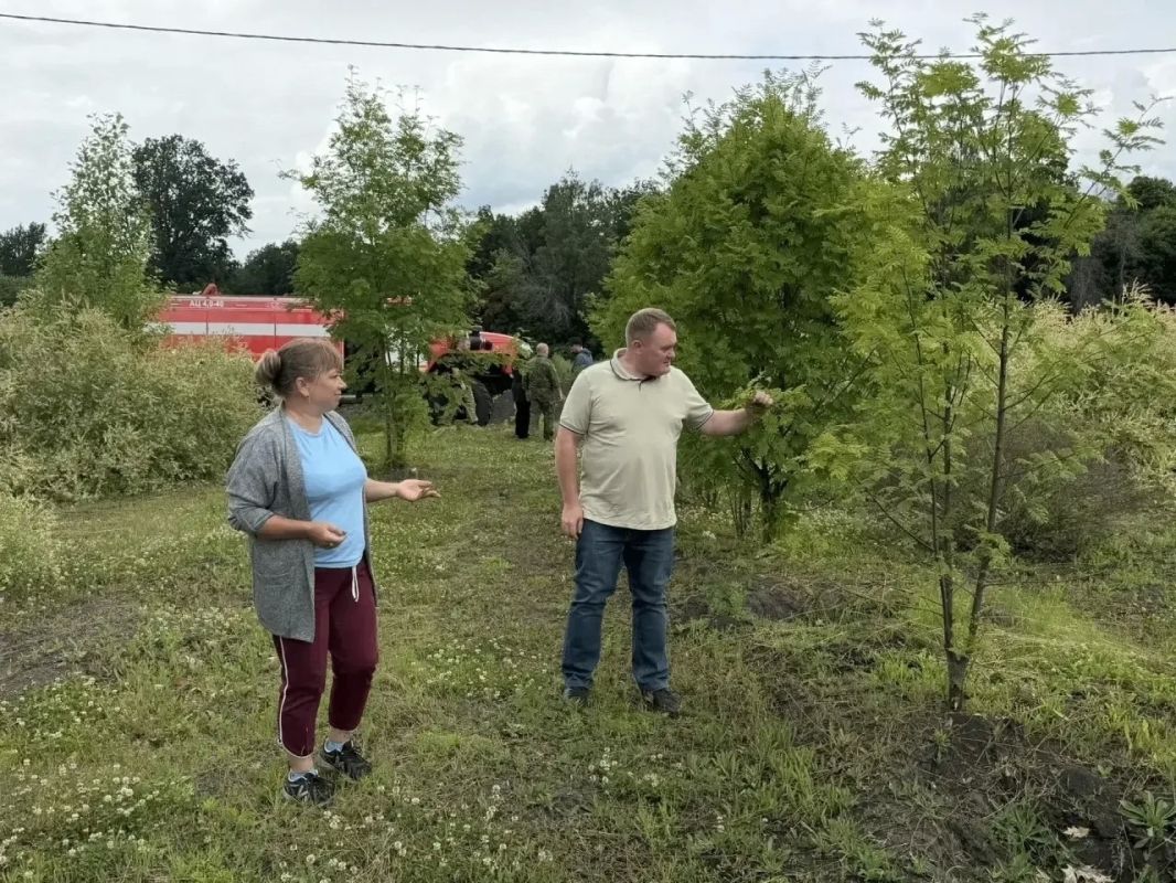 В лесном питомнике Советского района «Лесопожарный центр» сотрудники Министерства природных ресурсов Курской области высадили 2500 саженцев сирени В лесном питомнике Советского района «Лесопожарный центр» сотрудники Министерства природных ресурсов Курской области высадили 2500 саженцев сирени