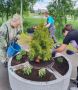 #субботник. На территории Клюквинского сельсовета Курского района в рамках мероприятий по благоустройству высадили цветы