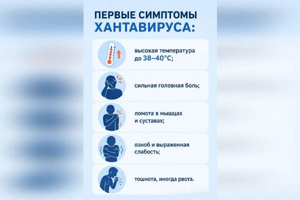 Знать, чтобы защититься: для сотрудников УФСИН провели лекцию о профилактике хантавируса