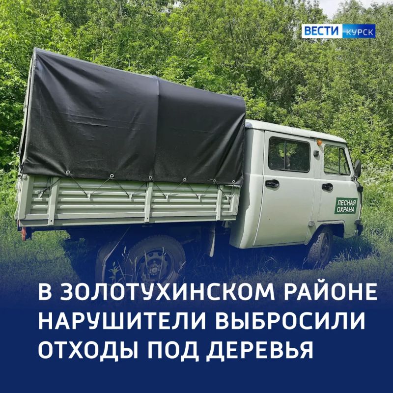 В Золотухинском районе — штраф под кроной