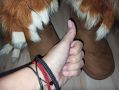 Как сохранить тепло ног: секретный трюк с упаковкой от сока