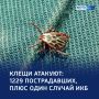 ������� ����������: ����� 1200 ������������ �� ������ ������