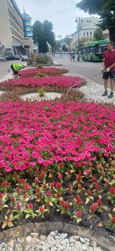 В рамках муниципального контракта в Курске подрядчик ИП Сароян продолжает осуществлять уход за цветниками В рамках муниципального контракта в Курске подрядчик ИП Сароян продолжает осуществлять уход за цветниками