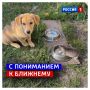 2 июля, четверг. Сегодня Международный день собак