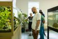 Друзья, всех приветствую! Сегодня открыл для себя замечательный уголок природы, который находится недалеко от центра города на улице Никитской