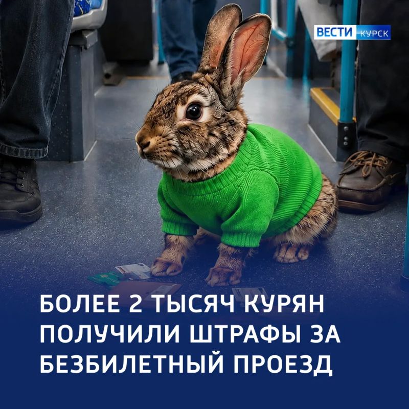 Охота на «зайцев»: более двух тысячи штрафов за безбилетный проезд