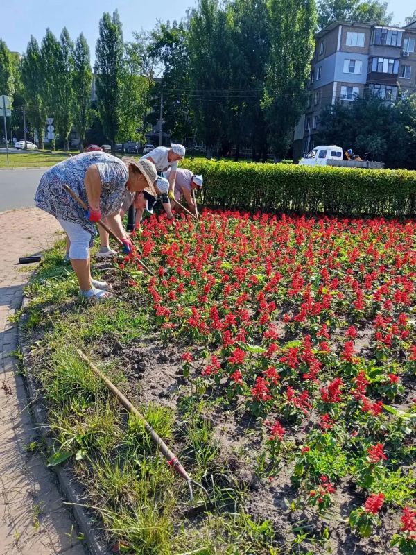Городская коммунальная служба наводит порядок в городе! Городская коммунальная служба наводит порядок в городе!