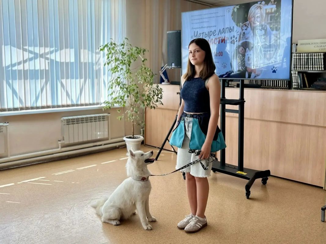 «Четыре лапы радости»: в Курске отметили Международный день собак «Четыре лапы радости»: в Курске отметили Международный день собак