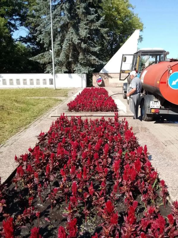 В рамках муниципального контракта в Курске подрядчик ИП Сароян продолжает осуществлять уход за цветниками В рамках муниципального контракта в Курске подрядчик ИП Сароян продолжает осуществлять уход за цветниками
