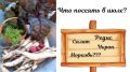 Как эффективно использовать освободившуюся землю после чеснока