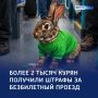 Охота на «зайцев»: более двух тысячи штрафов за безбилетный проезд