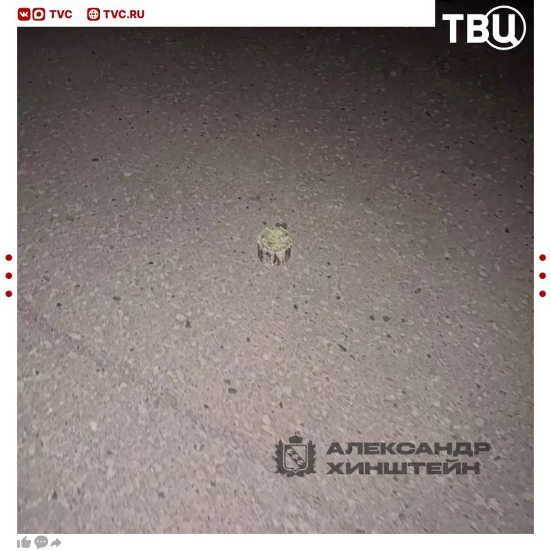 Уголовное дело о теракте возбуждено после подрыва автомобиля сотрудников администрации Рыльского района Курской области