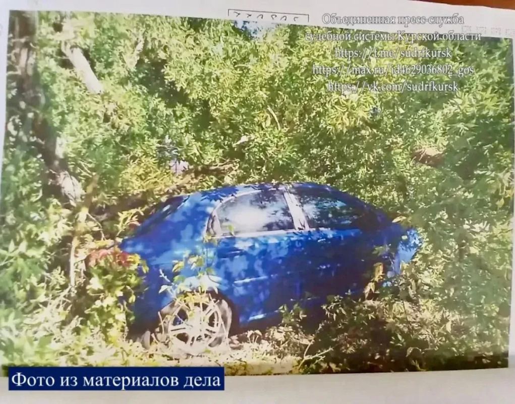 Курянин судился из-за упавшего на машину дерева