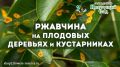 ������ �������� �������� �� ��������: ����������� ���������