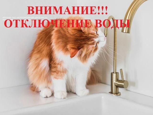 Уважаемые жители п. Золотухино, ул. Островского, ул. Чапаева, часть ул. Кирова, часть ул. Горького при проведении работ подрядчиком по прокладке нового водопровода к ул. Чапаева 02.07.2026 г., была повреждена центральная...