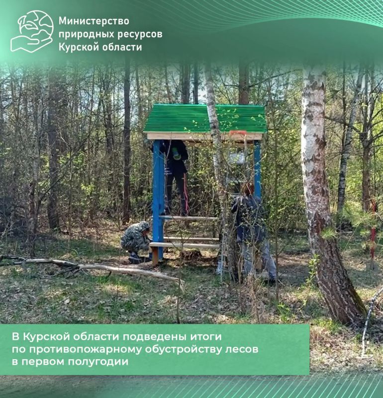В Курской области подведены итоги по противопожарному обустройству лесов в первом полугодии