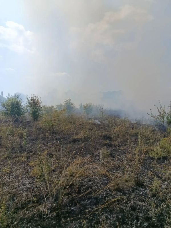 Огнеборцы Солнцевского района на тушении сухой травы Огнеборцы Солнцевского района на тушении сухой травы
