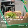 Курске уже несколько лет работает автономное социальное учреждение «Ветеран», где льготные категории граждан могут приобретать продукты по сниженным ценам или получать ежемесячную денежную компенсацию