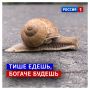 3 июля, пятница. ГАИ или ГИБДД? Как правильно? На самом деле, в 2002 году два понятия официально признали равнозначными