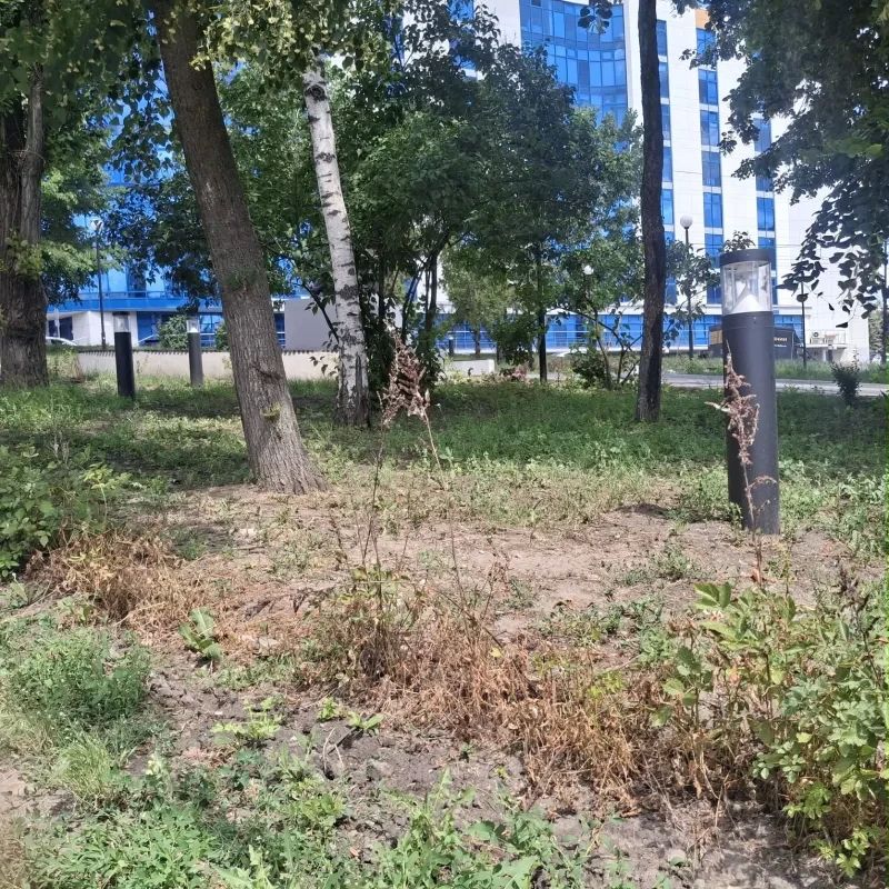 В Курске городская Контрольно-счетная палата, проверяя эффективность расходования средств на реконструкцию сквера «Спутник», произвела контрольный выезд на место В Курске городская Контрольно-счетная палата, проверяя эффективность расходования средств на реконструкцию сквера «Спутник», произвела контрольный выезд на место