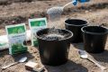 Как не испортить урожай: секреты правильного внесения удобрений