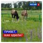 5 июля, воскресенье. Сегодня Международный день трудоголиков