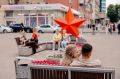 Хинштейн поделился снимками курских фотографов