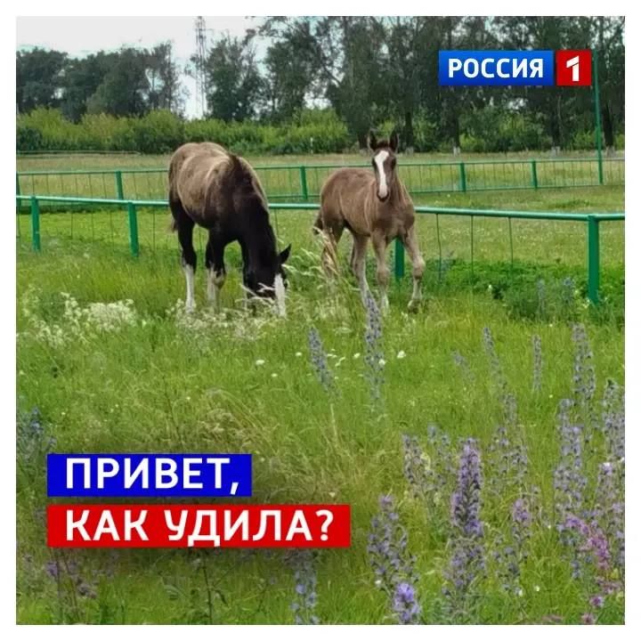 5 июля, воскресенье. Сегодня Международный день трудоголиков