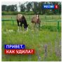 5 июля, воскресенье. Сегодня Международный день трудоголиков
