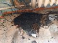 В Курске на пожаре эвакуированы 20 человек