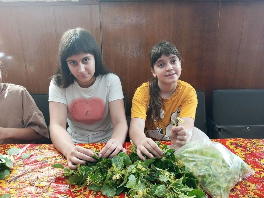 "В гостях у доброй липы". В Миленинском Доме культуры ребята отправились в маленькое путешествие — в гости к липе "В гостях у доброй липы". В Миленинском Доме культуры ребята отправились в маленькое путешествие — в гости к липе