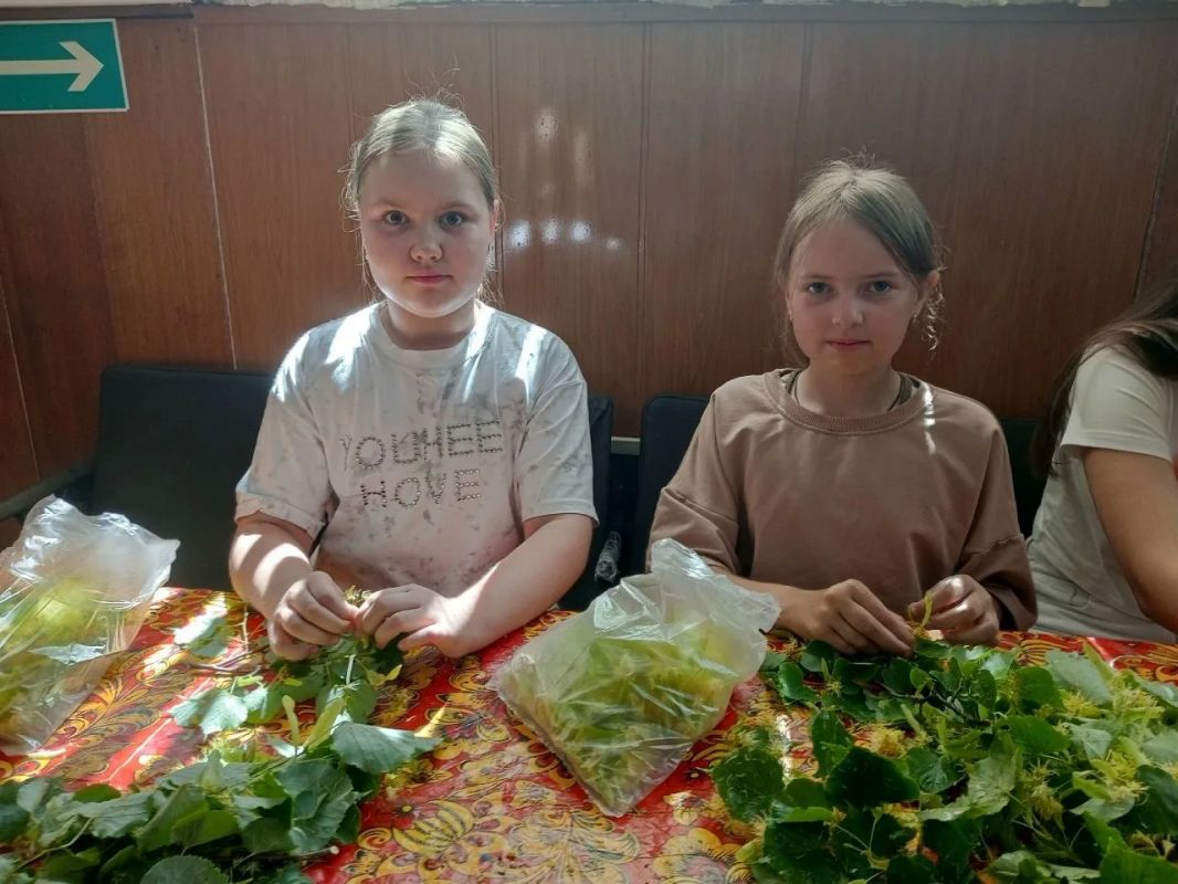 "В гостях у доброй липы". В Миленинском Доме культуры ребята отправились в маленькое путешествие — в гости к липе "В гостях у доброй липы". В Миленинском Доме культуры ребята отправились в маленькое путешествие — в гости к липе