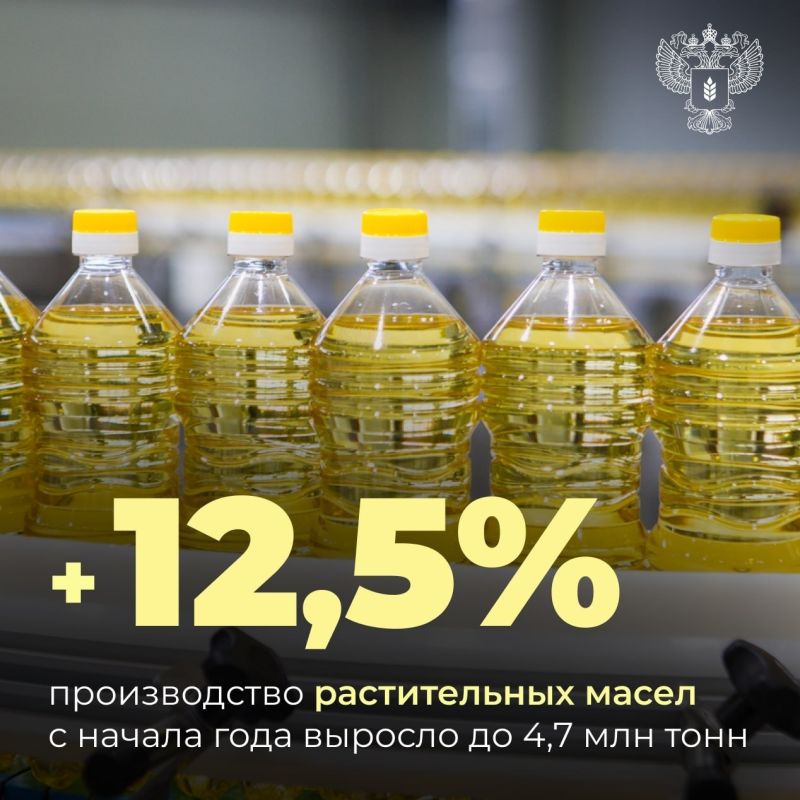 Россия нарастила производство и экспорт растительных масел